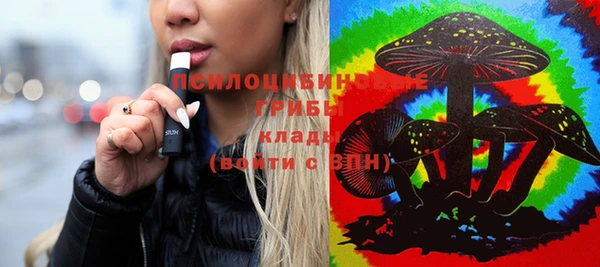 дмт Абинск