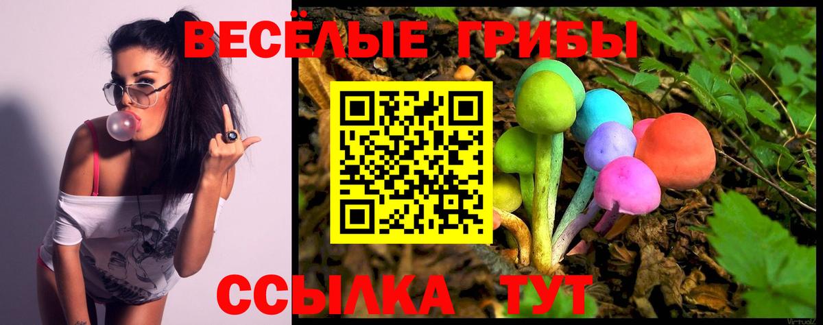 Галлюциногенные грибы ЛСД Сафоново