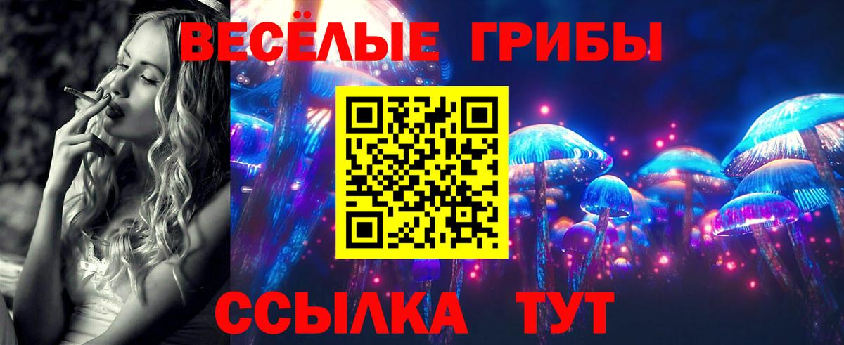 Сафоново  Псилоцибиновые грибы мицелий  Вход с VPN  что такое наркотик  Псилоцибиновые грибы прущие грибы 